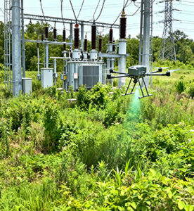 Tree and Vegetation Monitoring