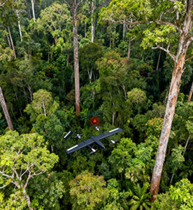 Forest Management (Density, Illegal Logging)