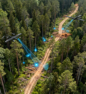 llegal Logging Detection