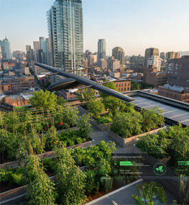 Urban Agriculture Monitoring