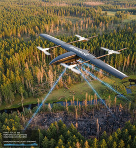 Wildlife and Forestry Insurance