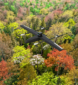 Phenology and Seasonal Changes Monitoring