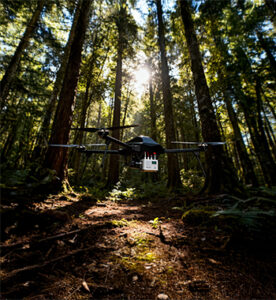 Research and Data Collection