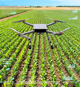 Agricultural Research and Crop Monitoring