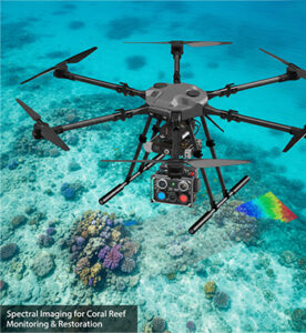 Coral Reef Health Assessment