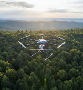 Forest Health Monitoring